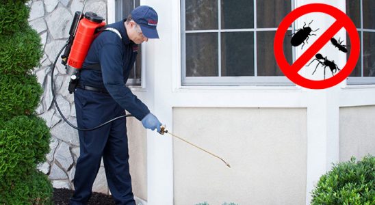 Mihalıççık Dezenfeksiyon böcek ilaçlama ve haşere kontrolü — ilaclama-tr.com